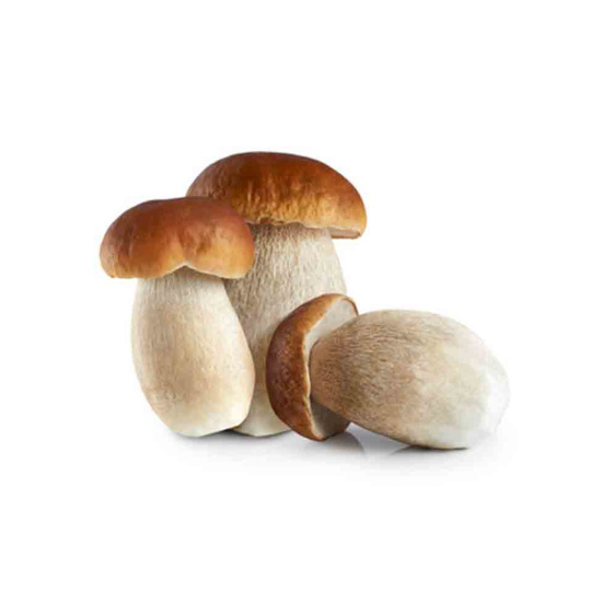 Boletus Entero Mediano